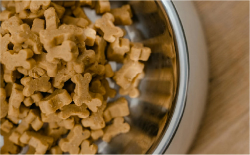 寵物軟咀嚼膠有什麼用途？